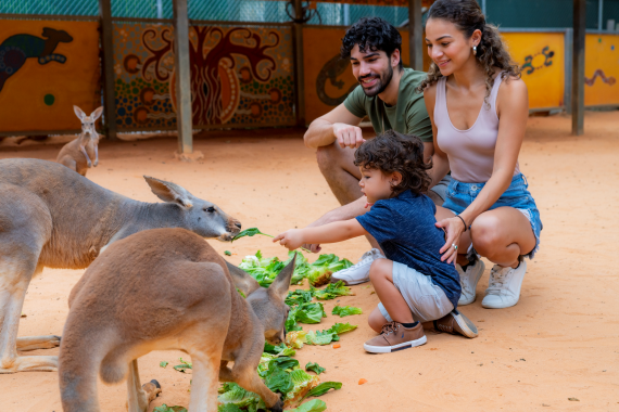 San Antonio Zoo